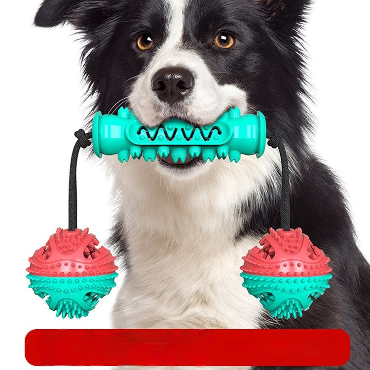 KFX-7540285 Durable TPR Chew Stick for Dogs - Teeth Cleaning Dumbbell Design in Red, Blue, and Green