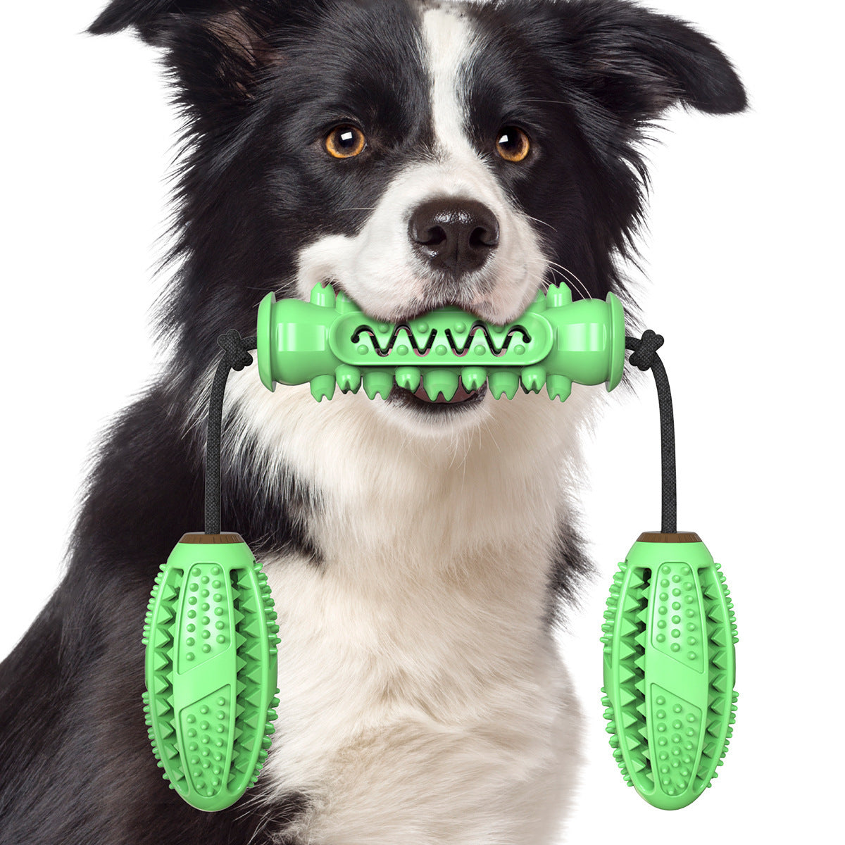 KFX-7540285 Durable TPR Chew Stick for Dogs - Teeth Cleaning Dumbbell Design in Red, Blue, and Green