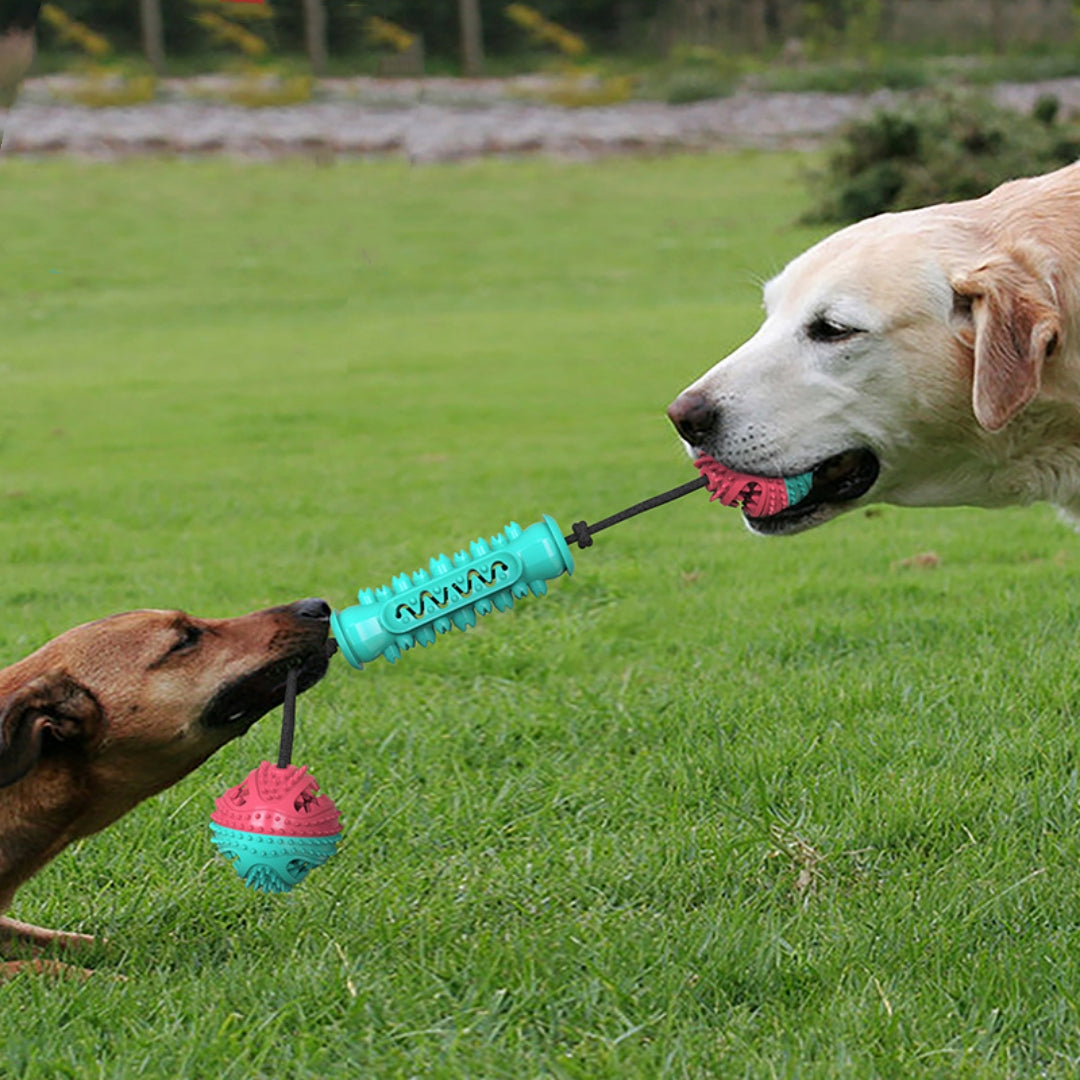 KFX-7540285 Durable TPR Chew Stick for Dogs - Teeth Cleaning Dumbbell Design in Red, Blue, and Green