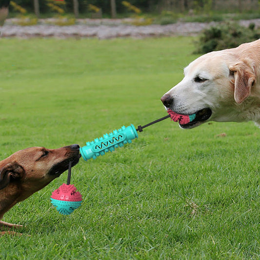 KFX-7540285 Durable TPR Chew Stick for Dogs - Teeth Cleaning Dumbbell Design in Red, Blue, and Green