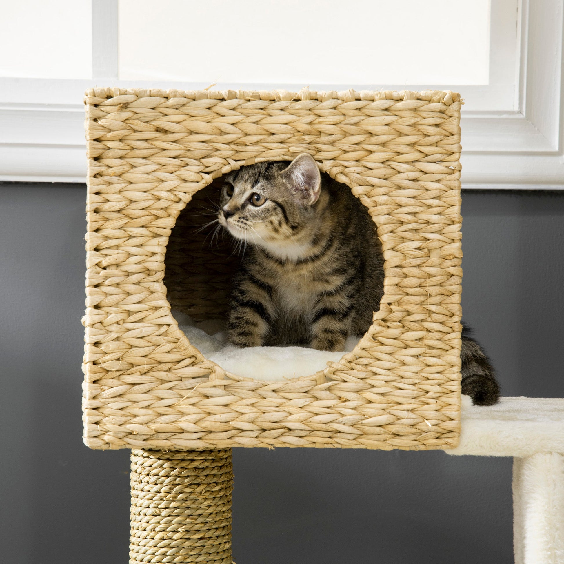 KFX-7540925 Indoor Cat Climbing Tower with Rattan Condo, Cushioned Basket Bed, and Ladder for Healthy Play and Rest