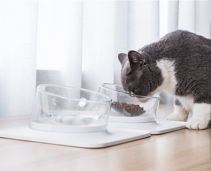 KFX-7553341 Anti-Spill and Anti-Tip Pet Bowl with Inclined Design - 440ML Water & 400ML Food Bowls