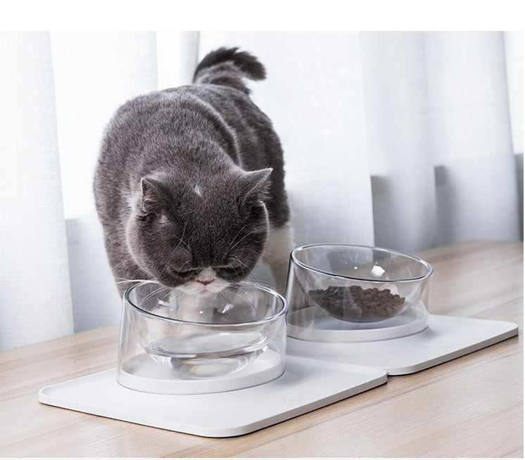 KFX-7553341 Anti-Spill and Anti-Tip Pet Bowl with Inclined Design - 440ML Water & 400ML Food Bowls