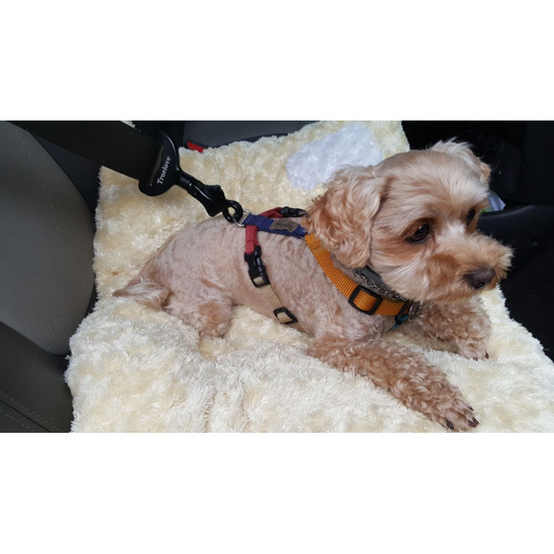 KFX-7561533 Pet Safety Buckle for Car - Aluminum Holder, Sturdy and Easy to Use, Black, 12.5x7x1.5cm