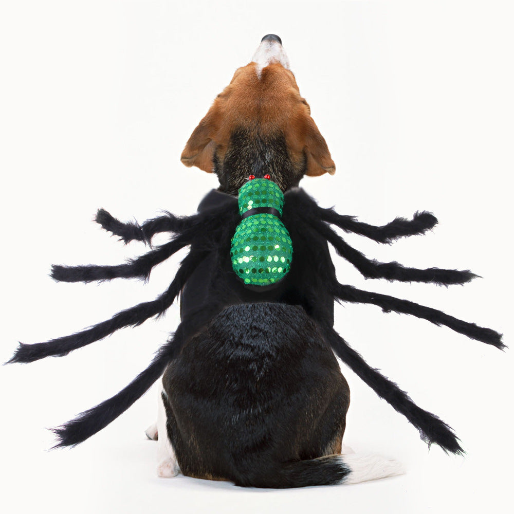 KFX-7568829 Sequined Spider Costume for Small Dogs and Cats in Red, Purple, and Green