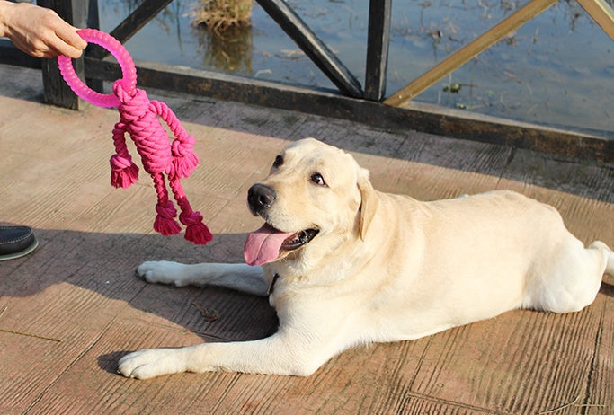KFX-7569469 Interactive Knot Dog Toy - Hemp Rope & TPR Chewable, 45x30x4.6cm