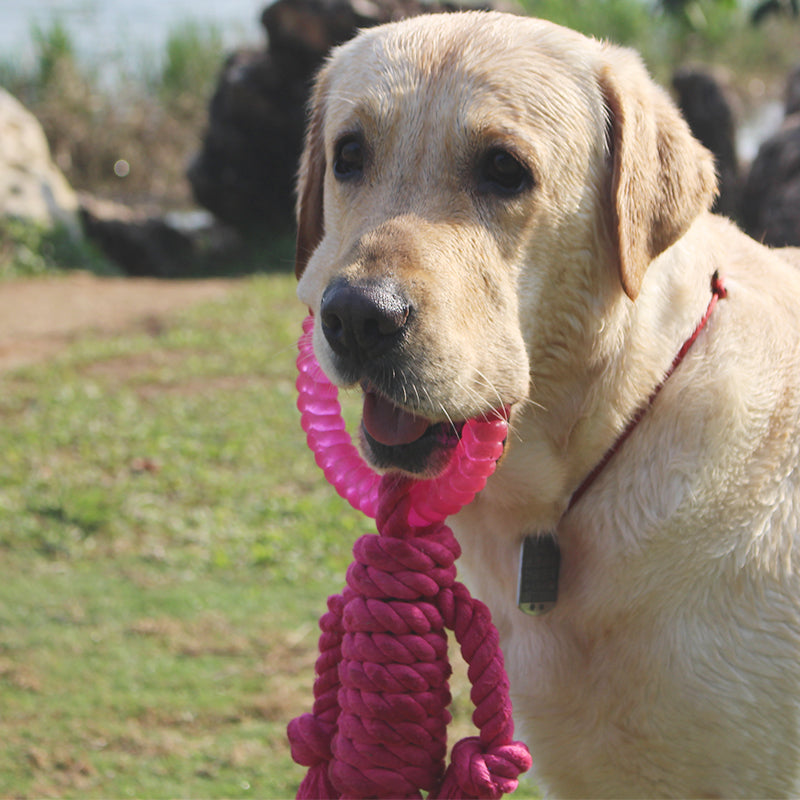 KFX-7569469 Interactive Knot Dog Toy - Hemp Rope & TPR Chewable, 45x30x4.6cm