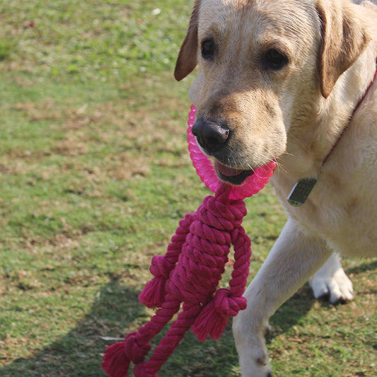 KFX-7569469 Interactive Knot Dog Toy - Hemp Rope & TPR Chewable, 45x30x4.6cm
