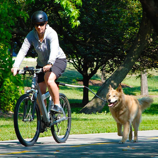 KFX-7574205 Hands-Free Stainless Steel Dog Bike Leash with Adjustable Length for Comfortable Walking and Bicycling