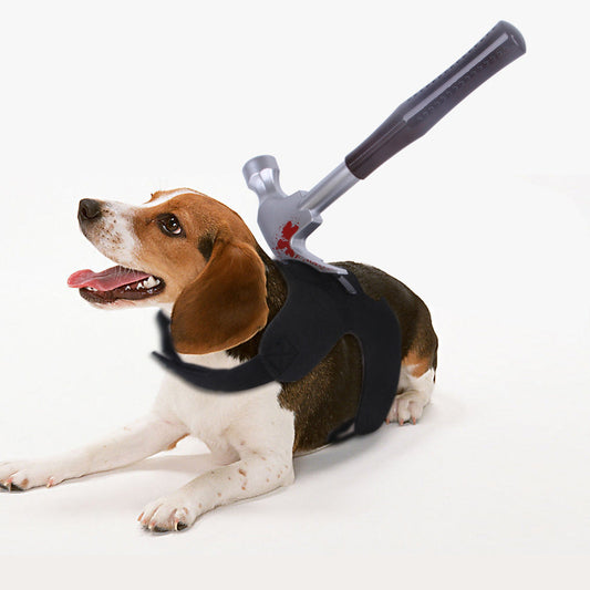 KFX-7574589 Funny Halloween Pet Costume - Soft Cloth with Velcro Closure, Comfortable Fit for Pets