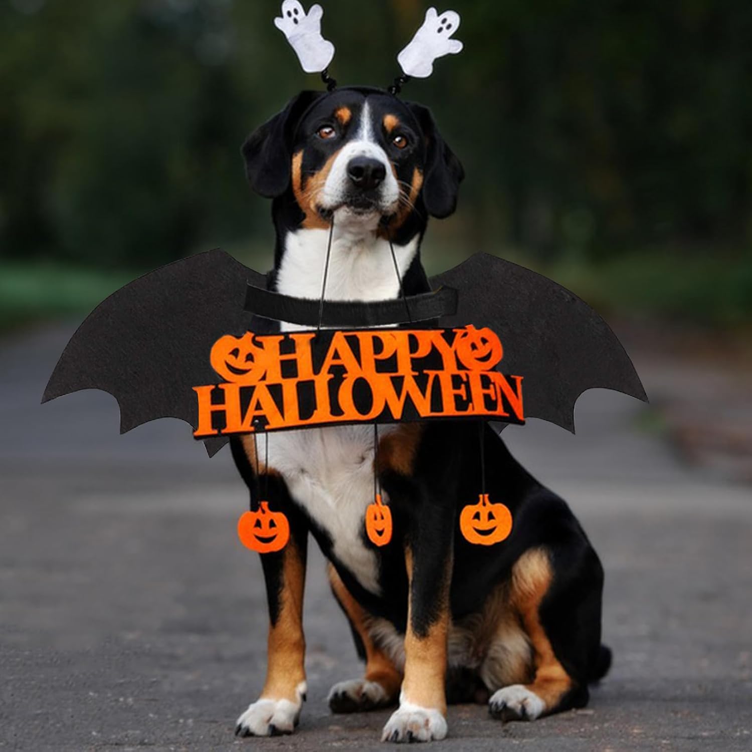 KFX-7591357 Luminous Skeleton Bone Bat Wings Dog Halloween Costume for Small to Large Pets