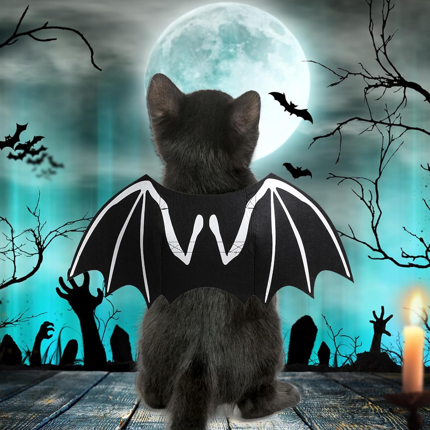 KFX-7591357 Luminous Skeleton Bone Bat Wings Dog Halloween Costume for Small to Large Pets