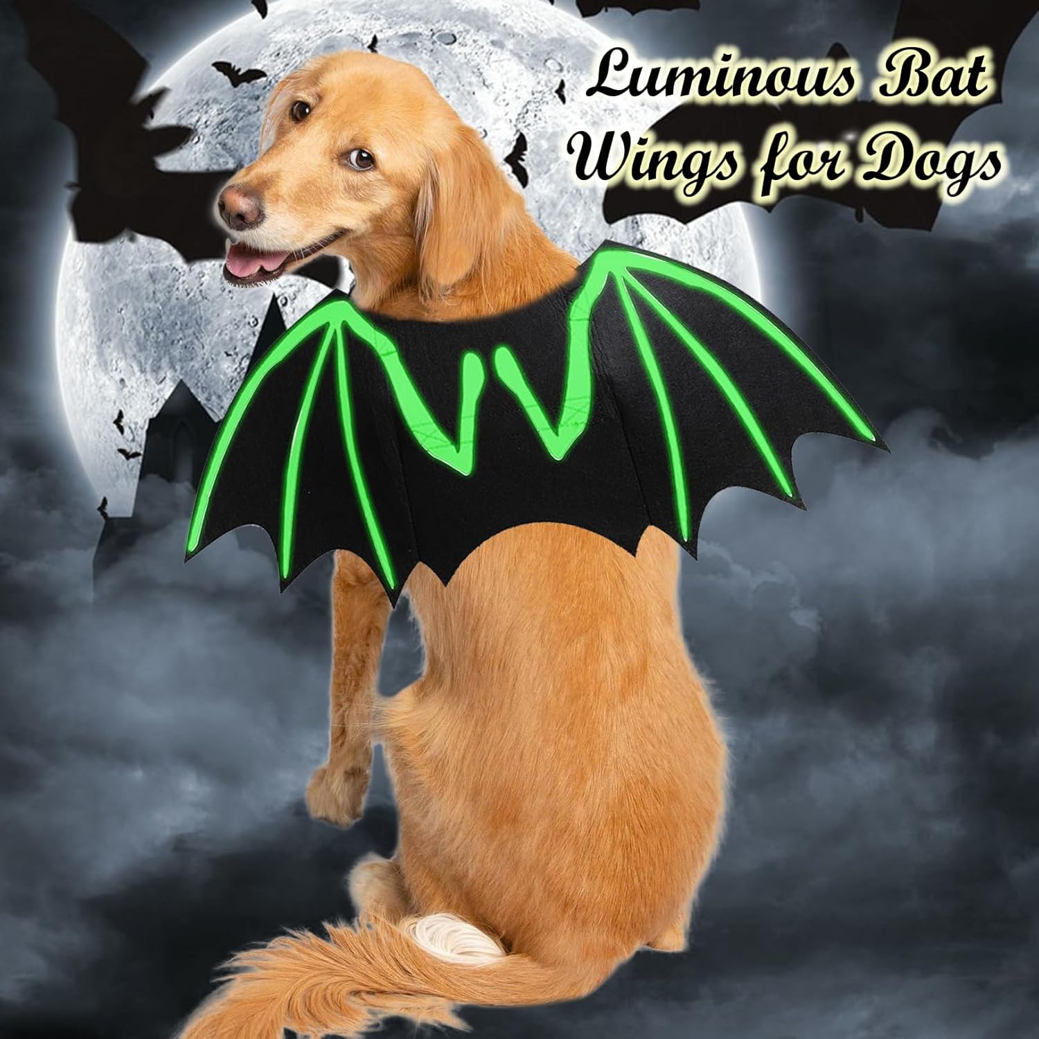 KFX-7591357 Luminous Skeleton Bone Bat Wings Dog Halloween Costume for Small to Large Pets