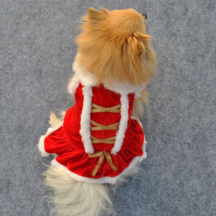 KFX-7604797 Classic Red Velvet Skirt for Pets - Casual New Year and Christmas Style