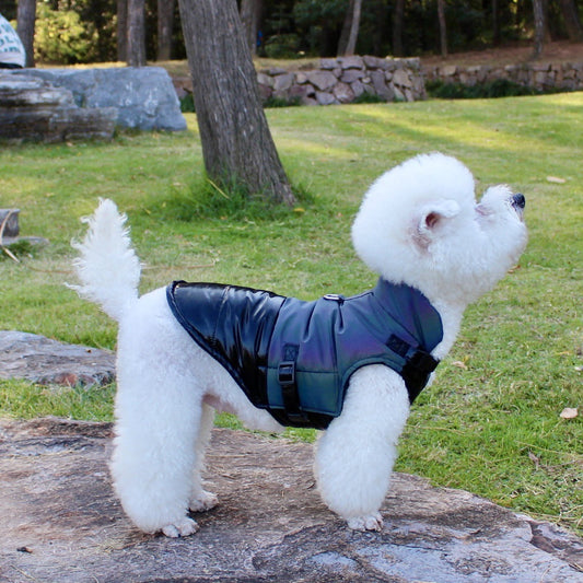 KFX-7613501 Cozy Cotton Dog Apparel for Comfort and Warmth in Multiple Sizes