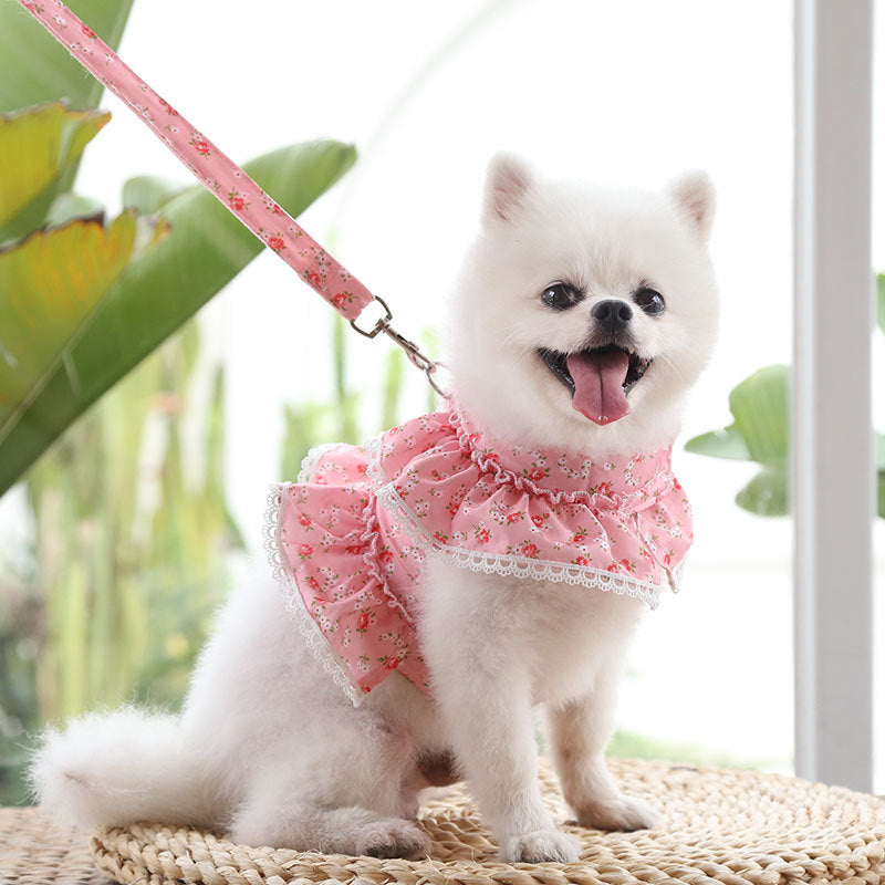 KFX-7619261 Small Floral Lace Teddy Bear Dog Leash with Chest Strap for Pets Up to 15 kg