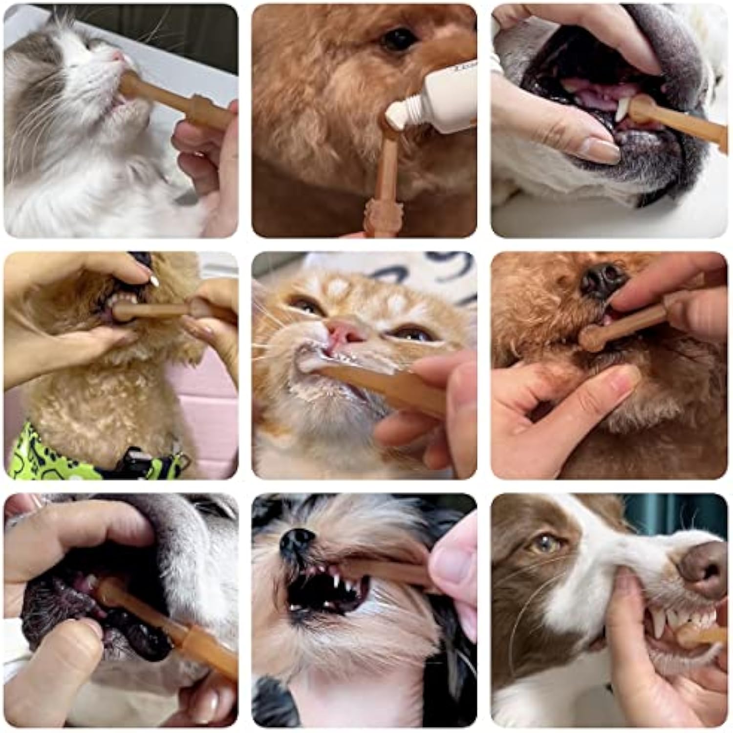 KFX-7625917 360-Degree Silicone Dog and Cat Toothbrush with Tongue Cleaner and Storage Cup for Effective Dental Care