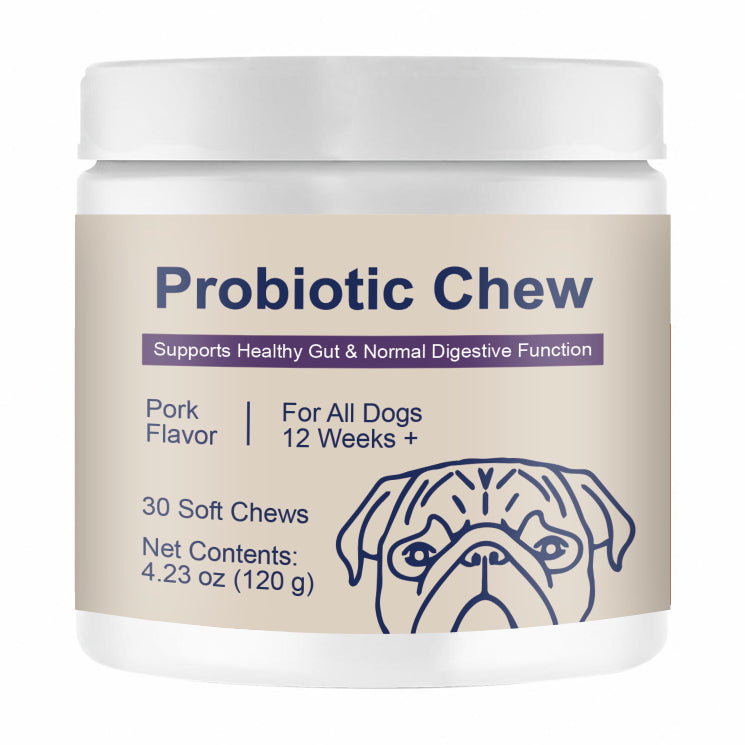 KFX-7630269 Chewable Probiotic Tablets for Dogs | Supports Intestinal Health | 120G Bottle