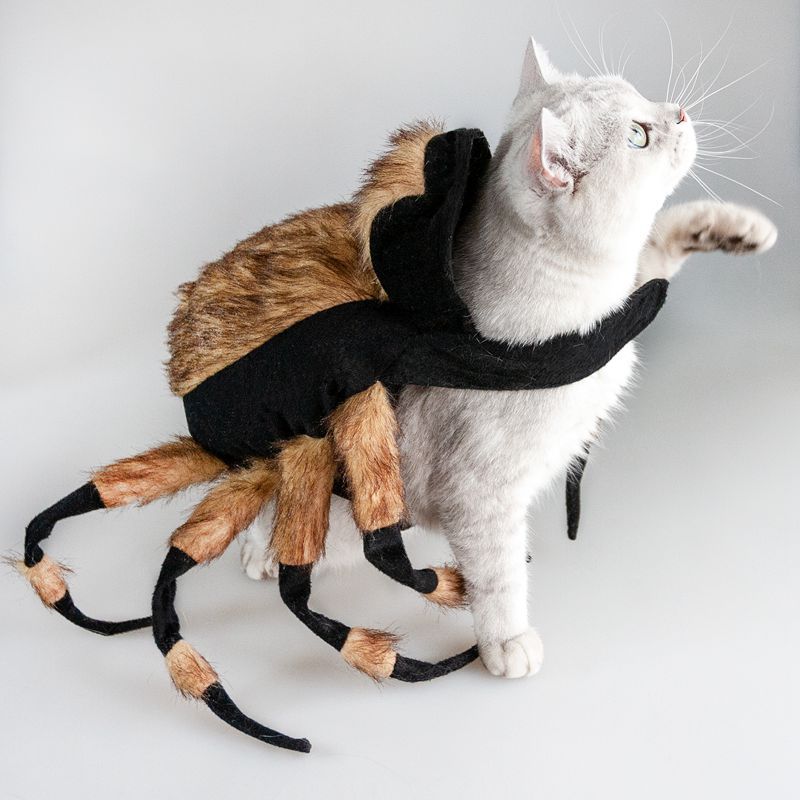 KFX-7640125 Spider Costume for Cats and Dogs with Adjustable Straps - Halloween Themed Pet Outfit