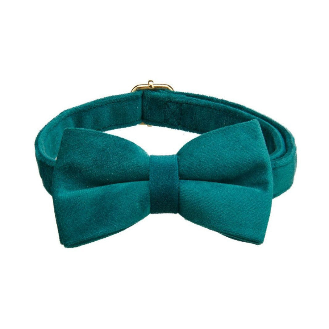 KFX-7643709 Peacock Blue Velvet Pet Collar with Bow and Leash Set, Adjustable Sizes S-XL, Casual Winter Style