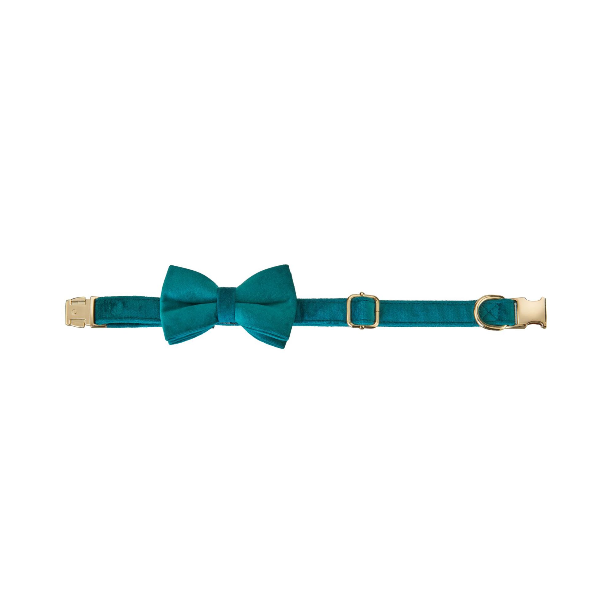 KFX-7643709 Peacock Blue Velvet Pet Collar with Bow and Leash Set, Adjustable Sizes S-XL, Casual Winter Style
