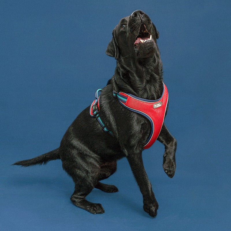 KFX-7644989 Breathable Double-Sided Dog Harness with Anti-Breakaway Traction Rope