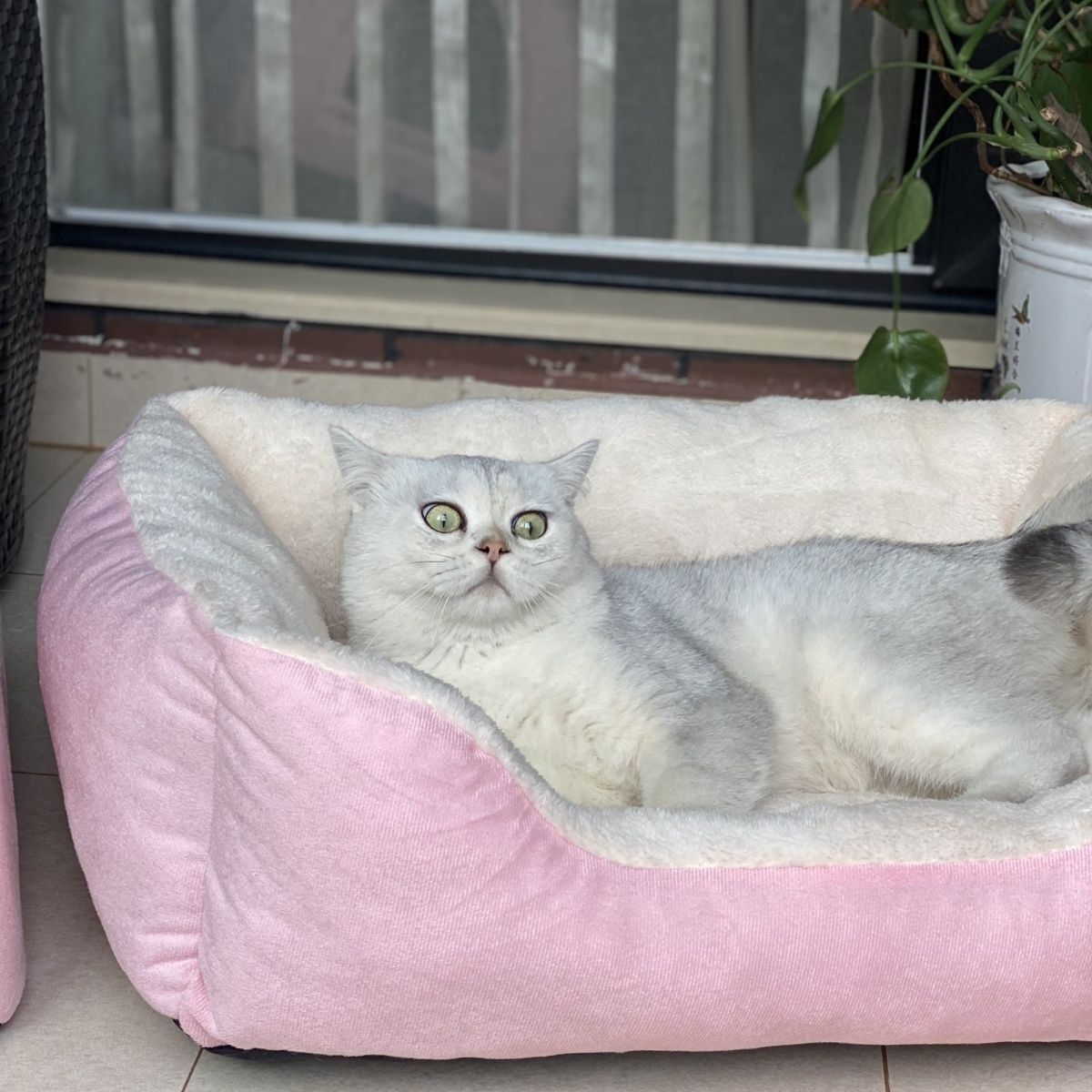 KFX-7653309 Cozy Flannel Winter Warm Pet Square Cat Nest - Multiple Sizes Available
