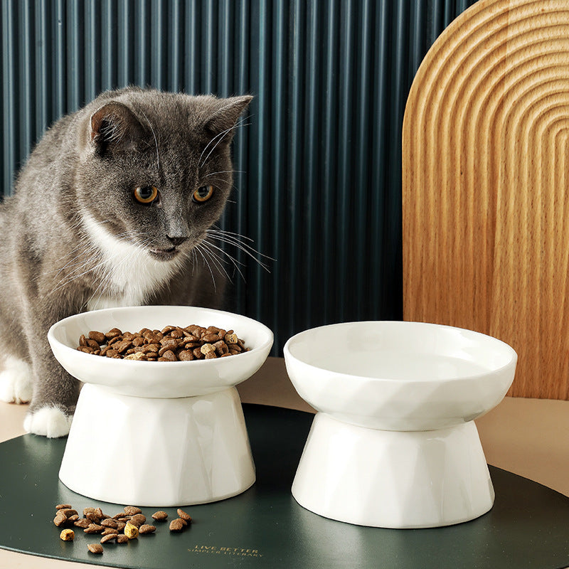 KFX-7657405 Ceramic Tall Slow Feed Cat Bowl for Spine Protection