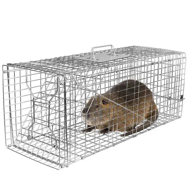 KFX-7660861 Humane Live Animal Trap for Catching Cats, Raccoons, and Small Rodents - Collapsible Galvanized Wire Trap