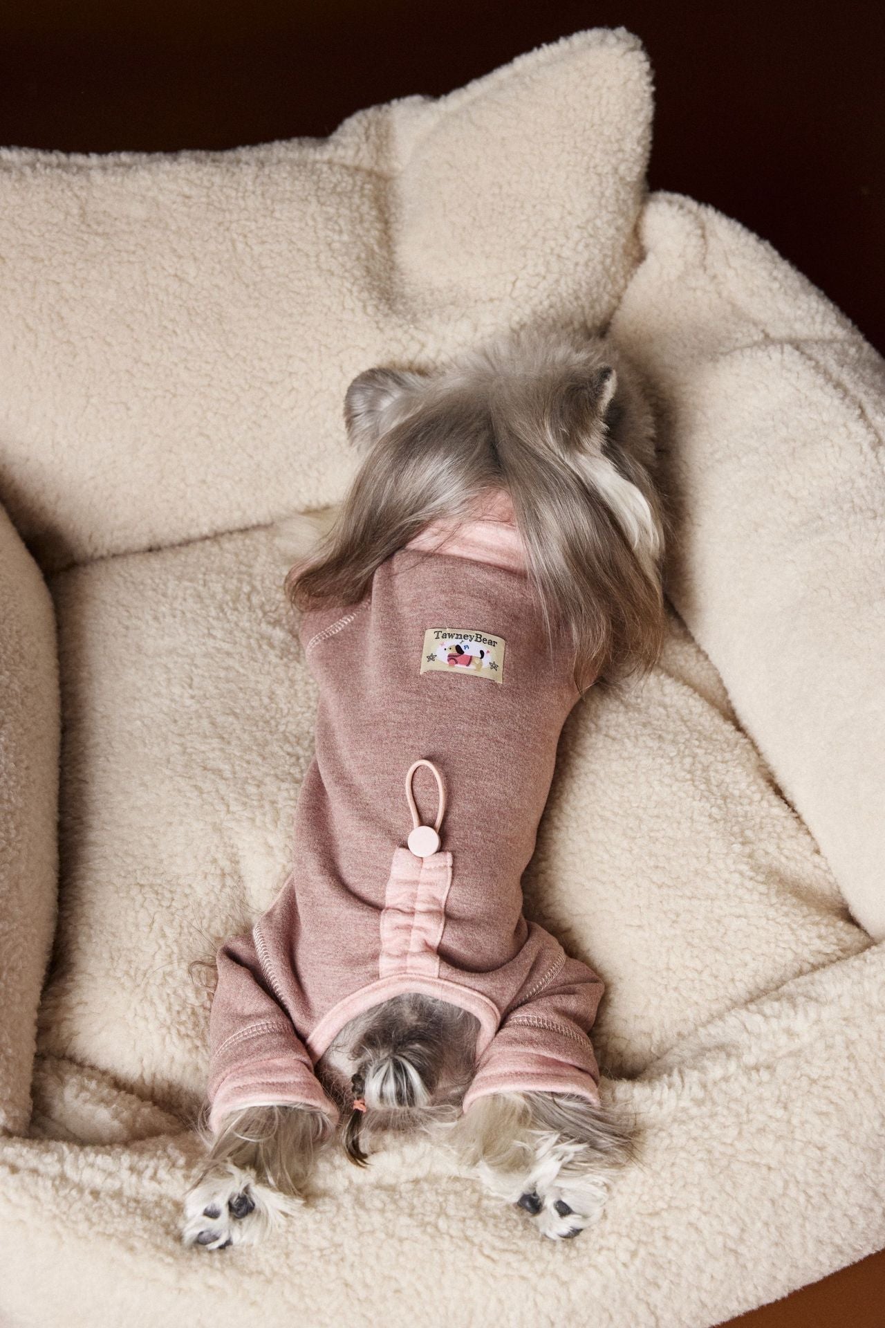 KFX-7661757 Comfortable Contrast Color Dog Clothes for Teddy, Schnauzer, and Bichon - XS to XXL