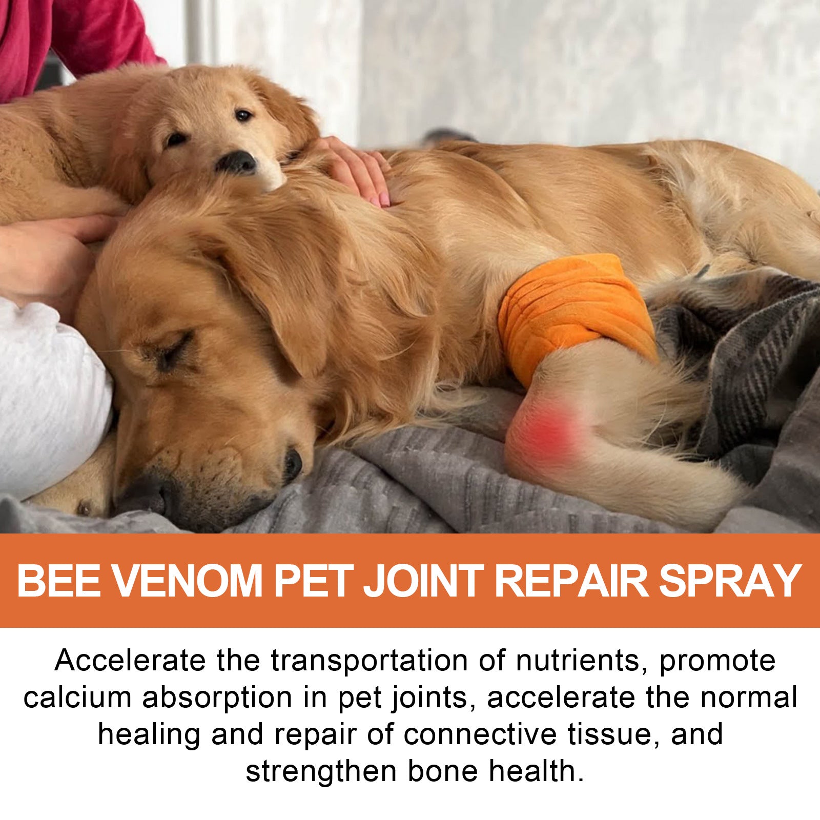 KFX-7670589 Joint Care Spray for Pets - Relief from Joint Discomfort and Muscle Weakness, 20g