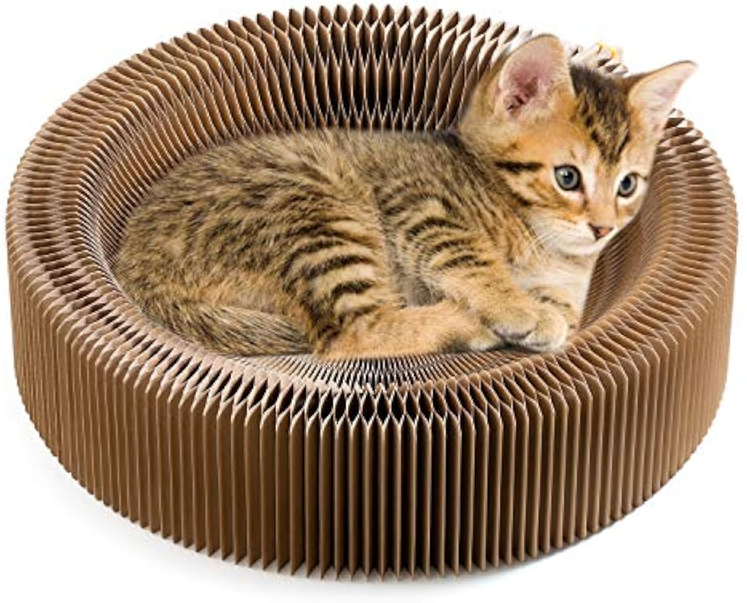KFX-7675965 Collapsible Cardboard Cat Scratching Lounge Bed for Indoor Cats