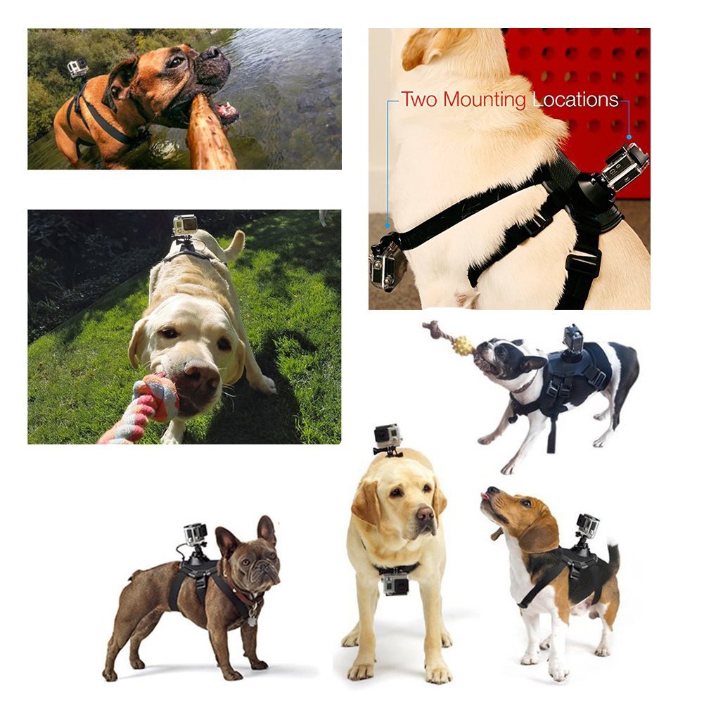 KFX-7678141 Dog Harness with Dual Camera Mounts for Chest and Back - Adjustable for 15-75 lbs Pets
