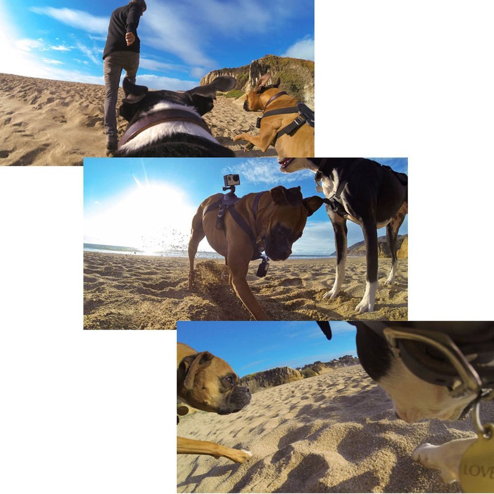 KFX-7678141 Dog Harness with Dual Camera Mounts for Chest and Back - Adjustable for 15-75 lbs Pets