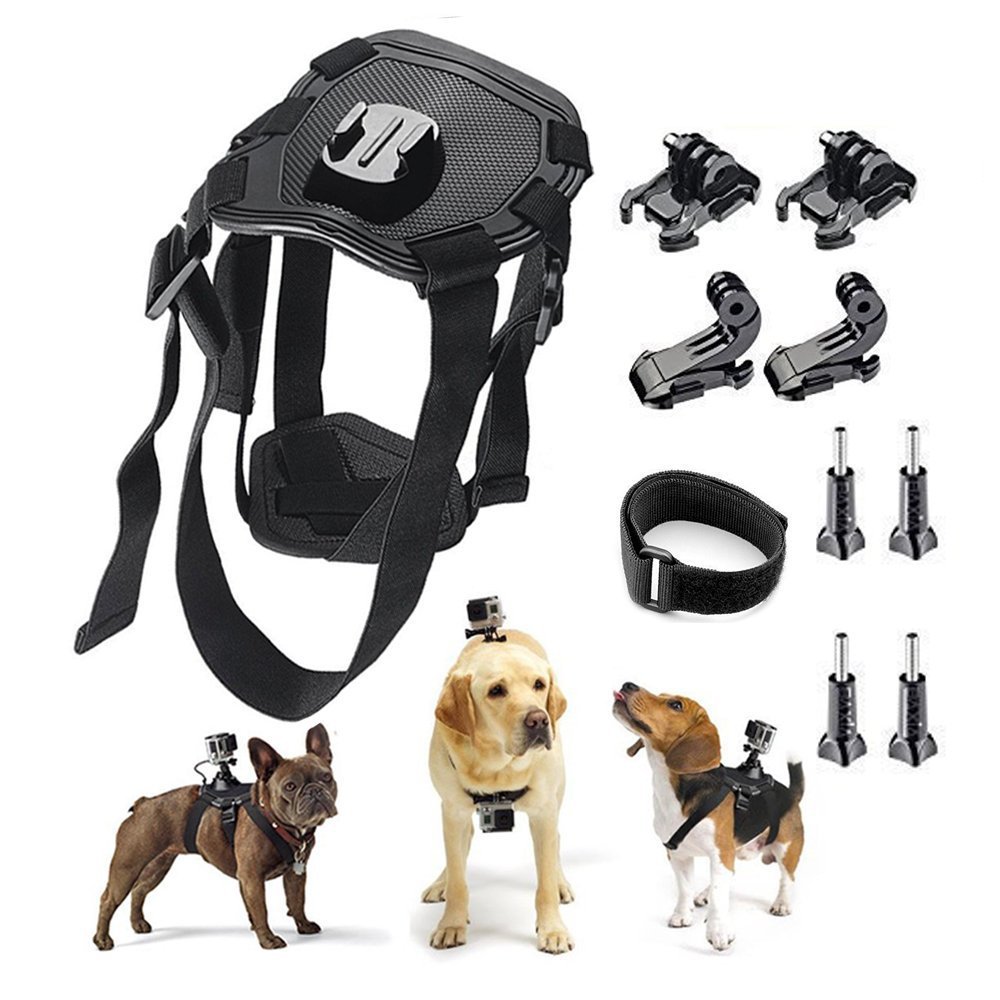 KFX-7678141 Dog Harness with Dual Camera Mounts for Chest and Back - Adjustable for 15-75 lbs Pets