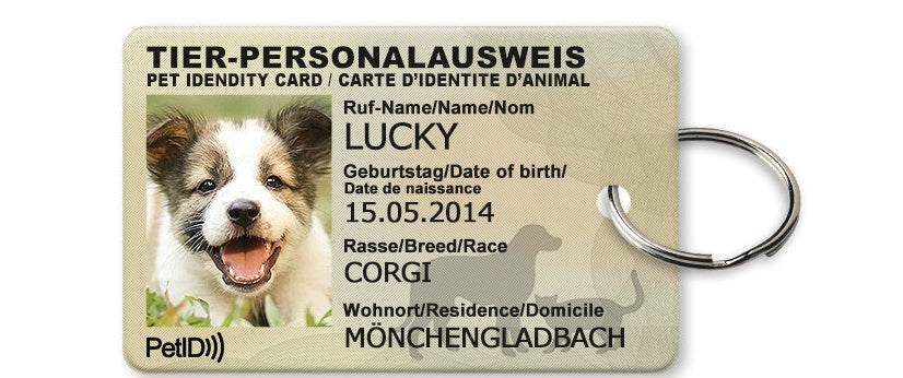 KFX-7680317 Custom Pet ID Card with Photo, Name, Breed, and Date of Birth - 4x2.5 cm