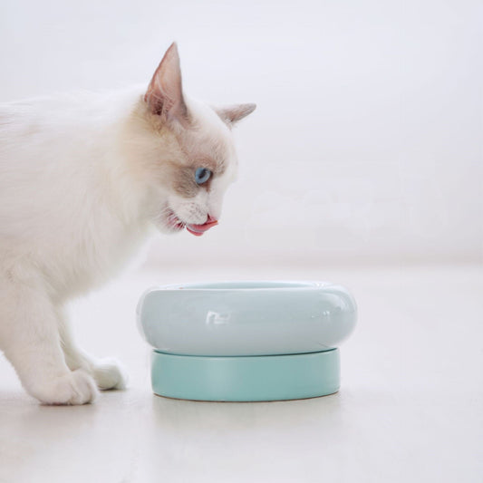 KFX-7684413 Mochi Ceramic Cat Bowl in Pink and Green - 80-120g Capacity