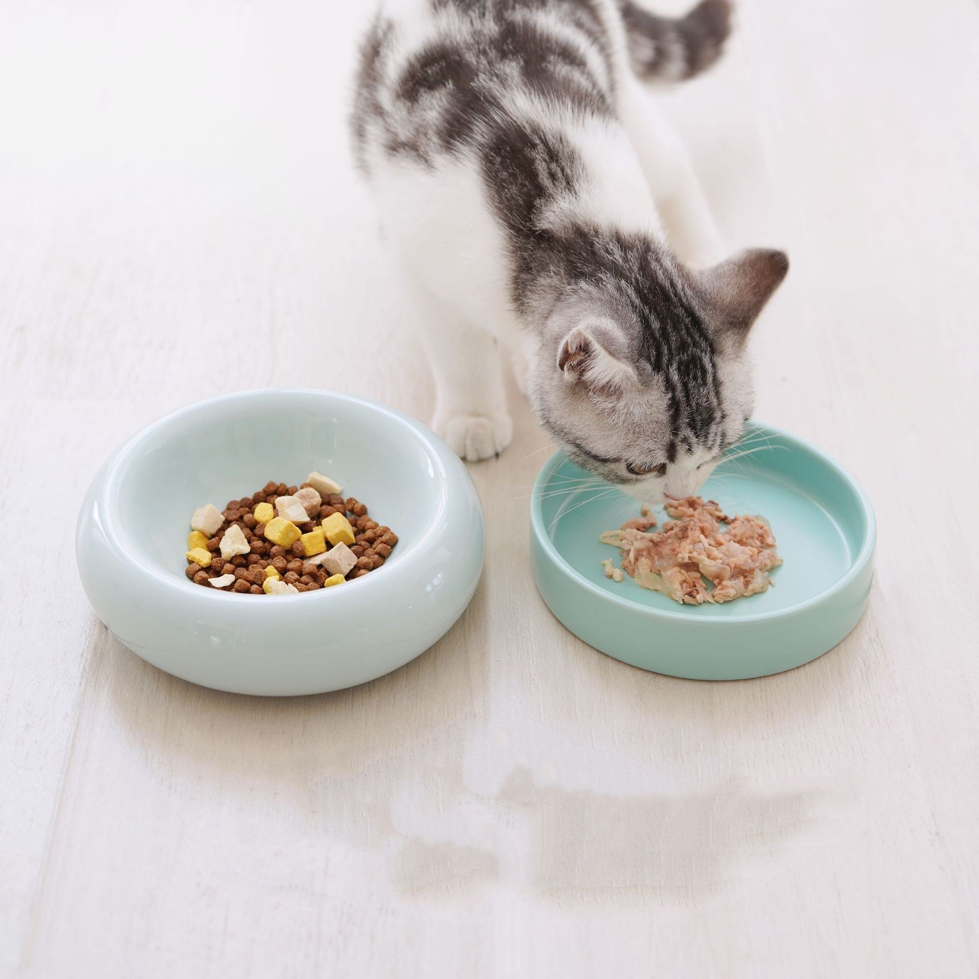 KFX-7684413 Mochi Ceramic Cat Bowl in Pink and Green - 80-120g Capacity