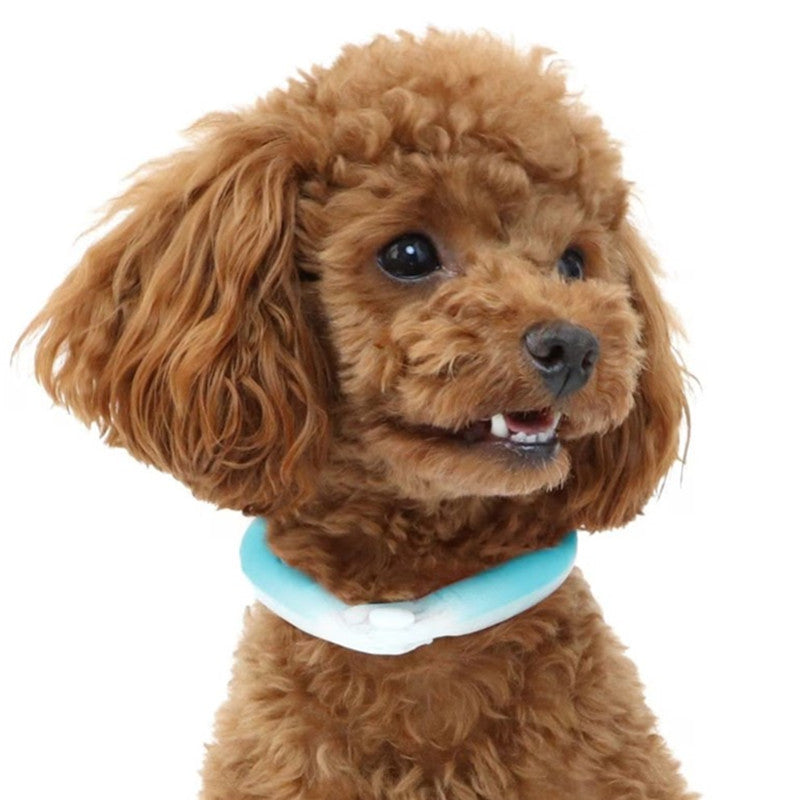 KFX-7697725 Cooling Pet Halter with Bio-Based Phase Change Material for Summer Use