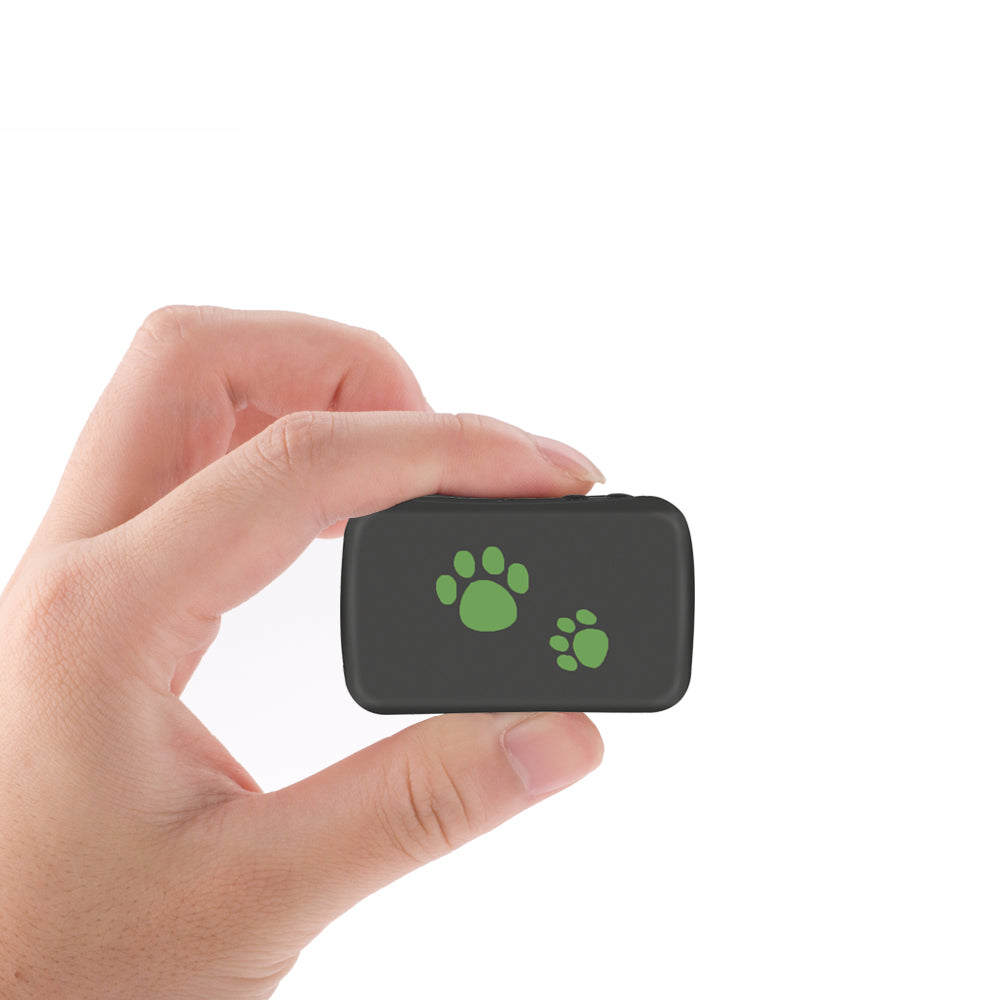 KFX-7699005 Pet GPS Tracker Lightweight Anti-Lost Device with Waterproof IP65 and 72h Battery Life