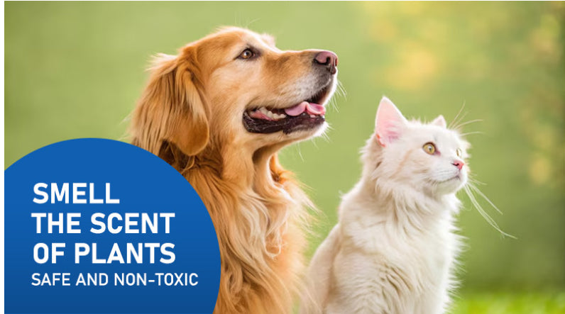 KFX-7709117 Indoor Pet Deodorant Spray for Urine Removal - 100ml Freshener