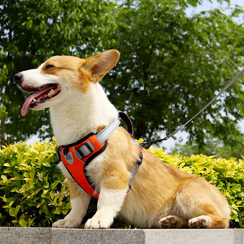KFX-7710525 Adjustable Dog Chest Strap with Hand-Holding Rope in Multiple Colors