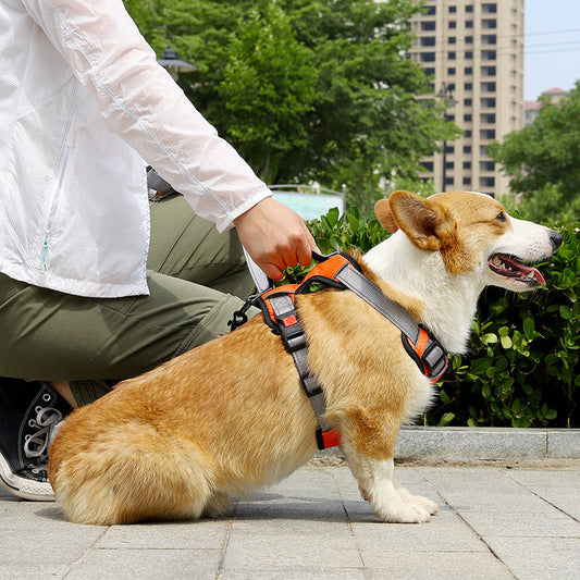 KFX-7710525 Adjustable Dog Chest Strap with Hand-Holding Rope in Multiple Colors