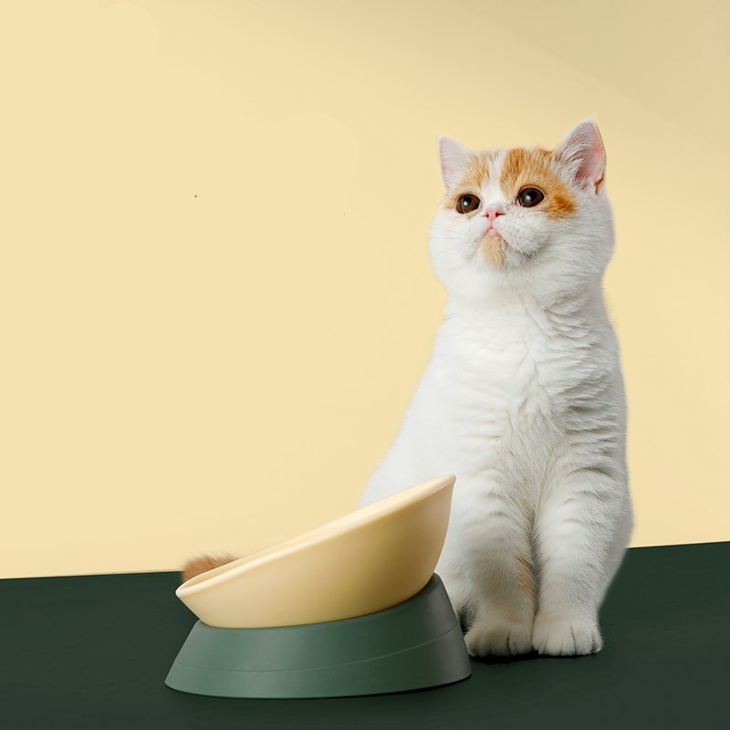 KFX-7717181 Anti-Overturning Double Bowl for Cats and Dogs - Eco-Friendly Resin and Rubber, Universal Size 160x170x130mm