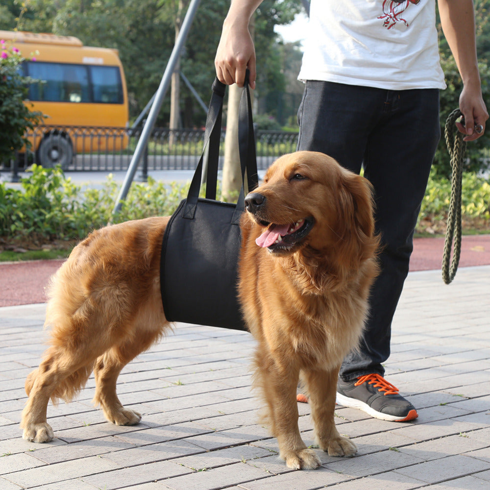 KFX-7718461 Pet Assistance Leash Belt for Aged and Injured Dogs