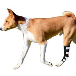 KFX-7726013 Glow-in-the-Dark Dog Knee Brace for Injury Recovery - Black Nylon with Reflective Velcro