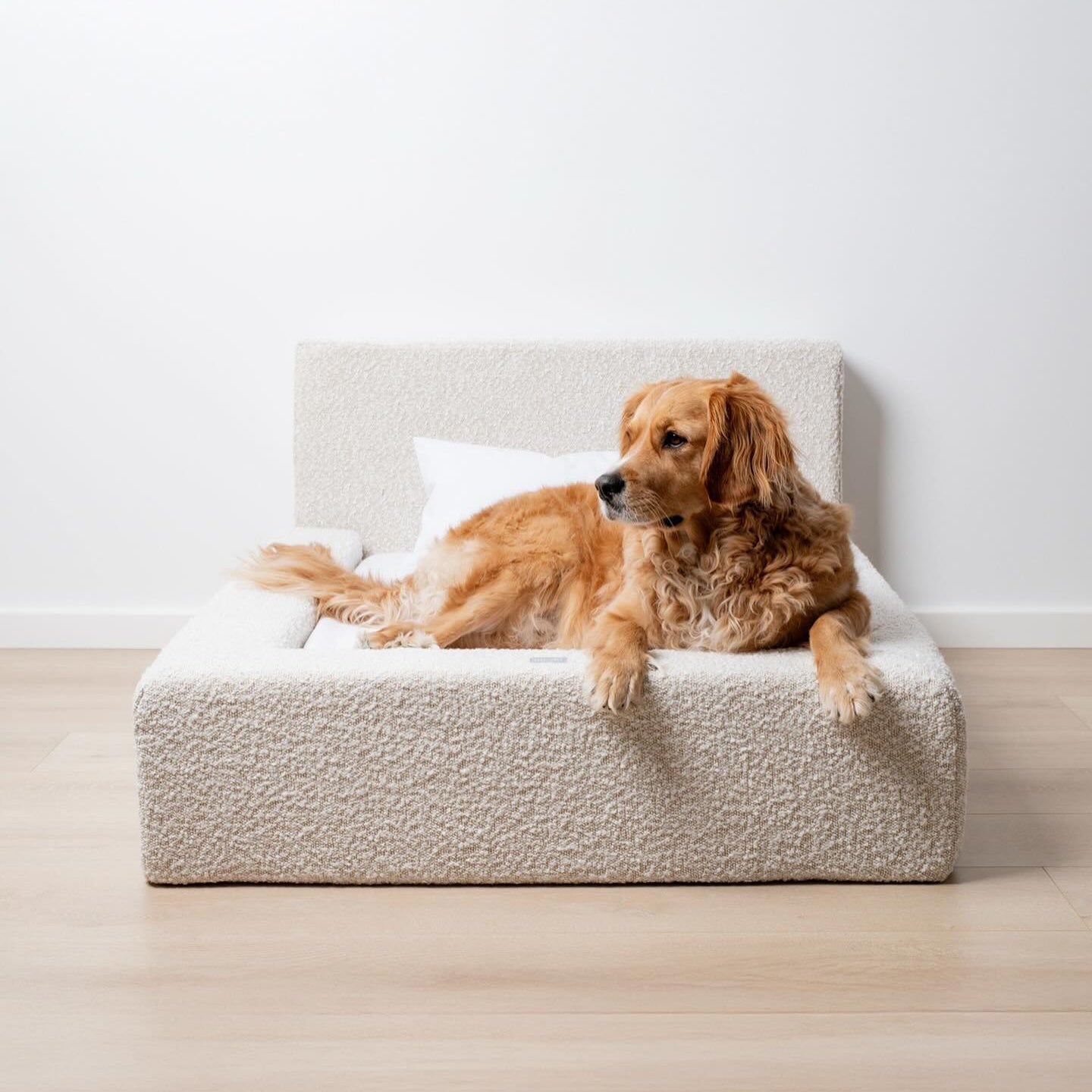 KFX-7726397 Cozy Rectangular Pet Bed with Backrest for Dogs and Cats - Soft Sponge Mat for Large, Medium, and Small Pets