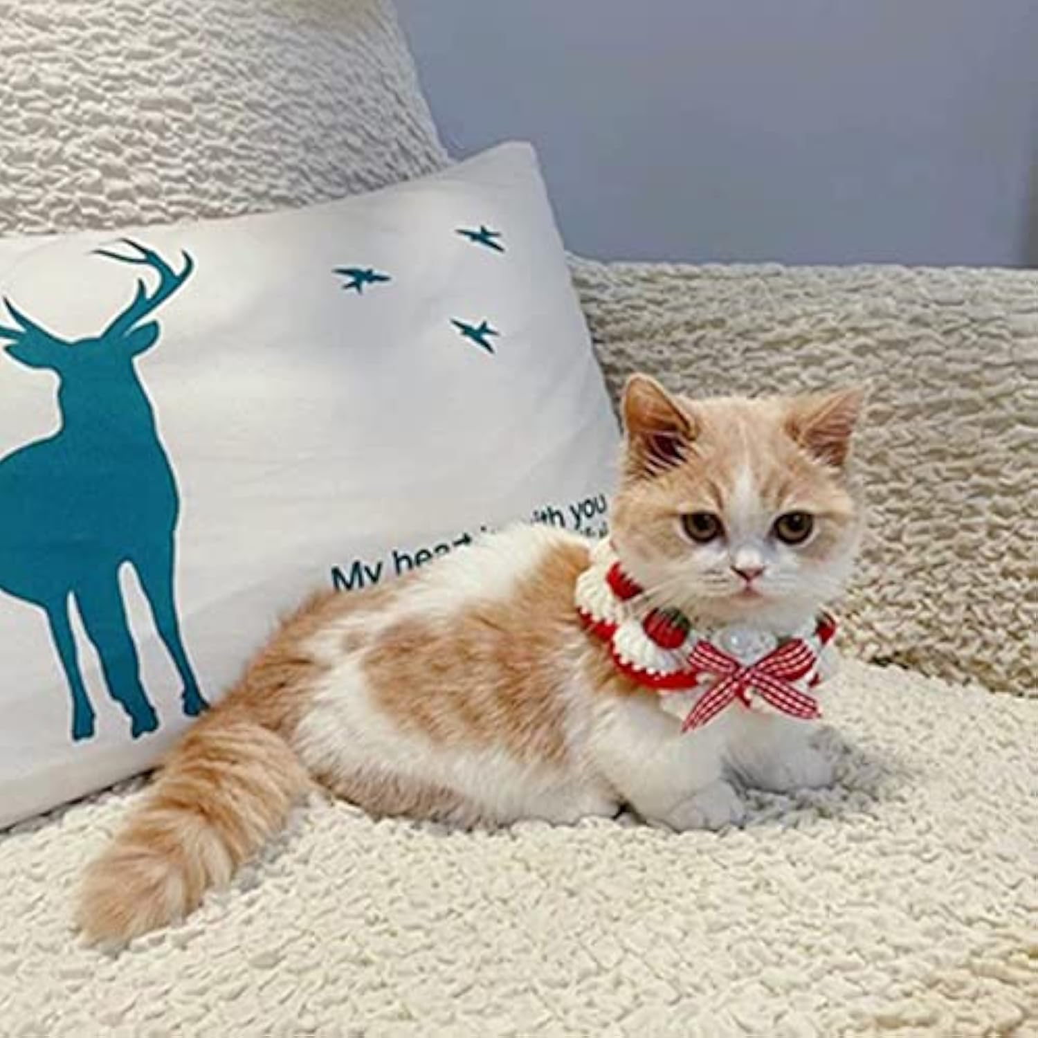 KFX-7729981 Strawberry Pattern Cat Collar with Breakaway Buckle and Bow Tie for Kittens and Small Dogs