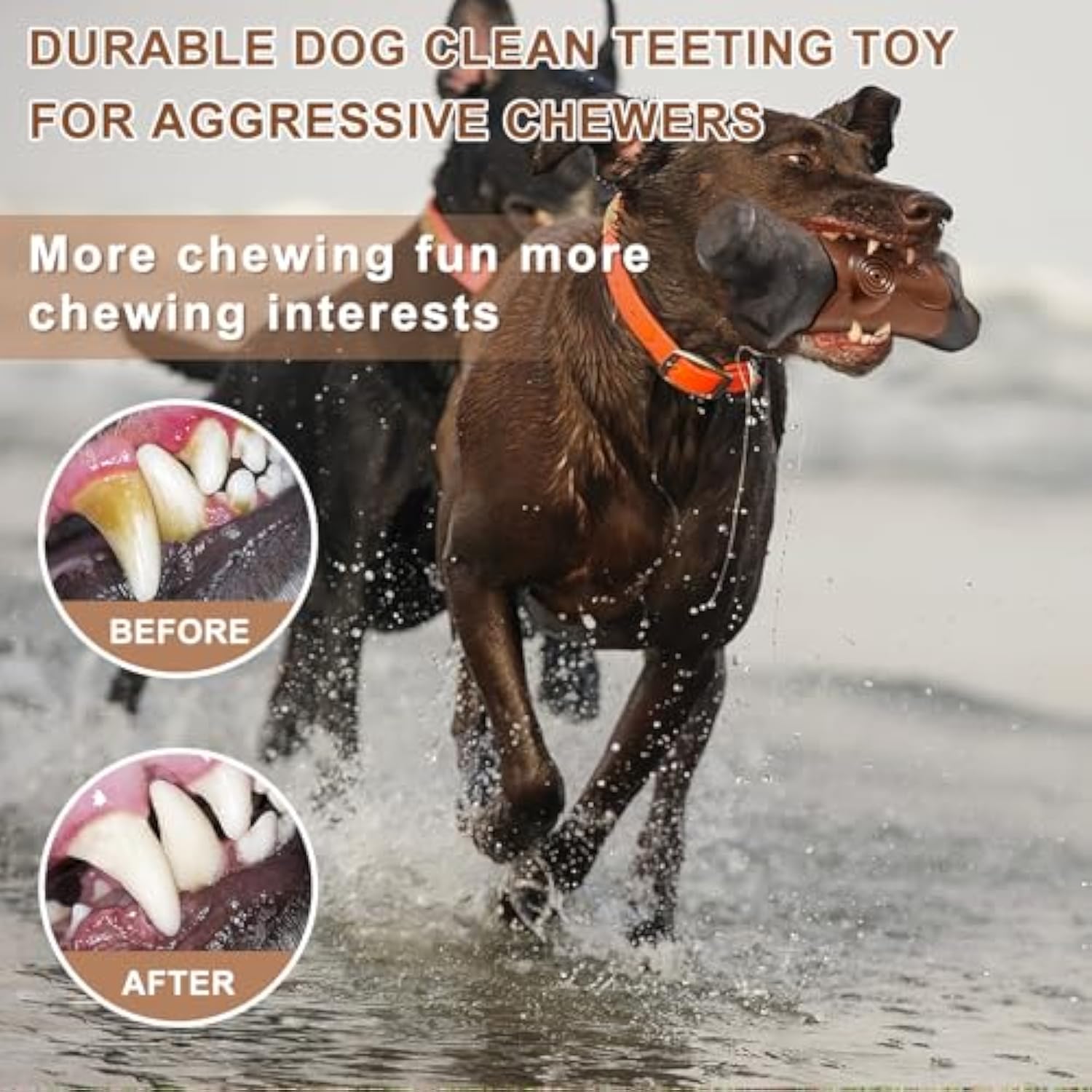 KFX-7741501 Indestructible Dog Chew Toy for Aggressive Chewers - Large Size with Bacon Flavor, Durable Nylon Design
