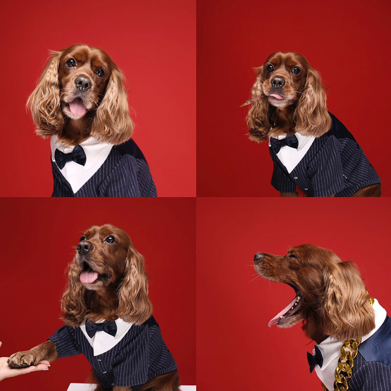 KFX-7742397 Light Gray and Navy Blue Dog Suit Dress - Stylish Gentleman Outfit for Weddings and Special Occasions